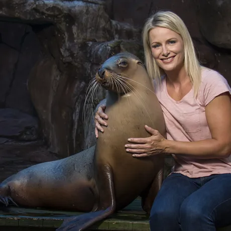 Seals Encounter 2