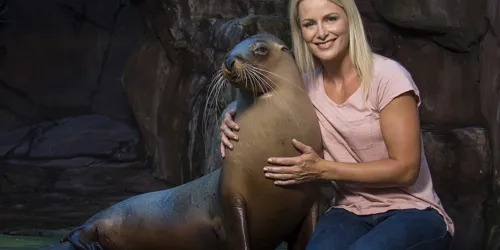 Seals Encounter 2