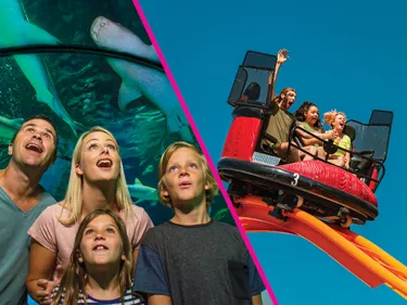 Experience the best of the Sunshine Coast and save up to 15%!