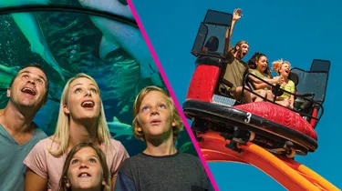 Experience the best of the Sunshine Coast and save up to 15%!