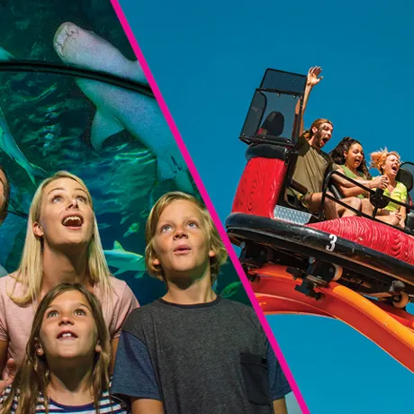 Experience the best of the Sunshine Coast and save up to 15%!