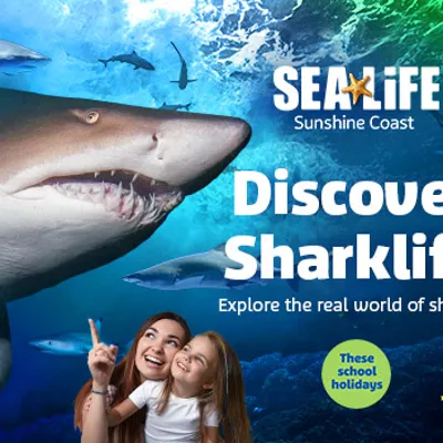 SLSC Sharklife Ticketbox 490X350px (1)