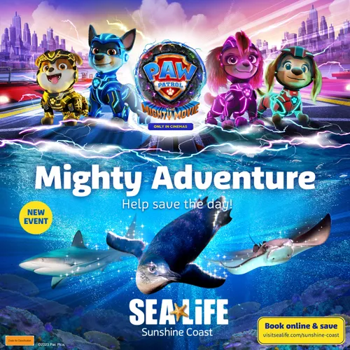 PAW Patrol Online!