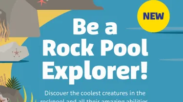SLSC Rockpools Newsblock 450X442px