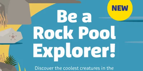 SLSC Rockpools Newsblock 450X442px