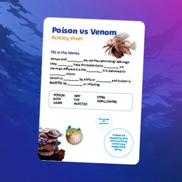 Activity Booklet Images5