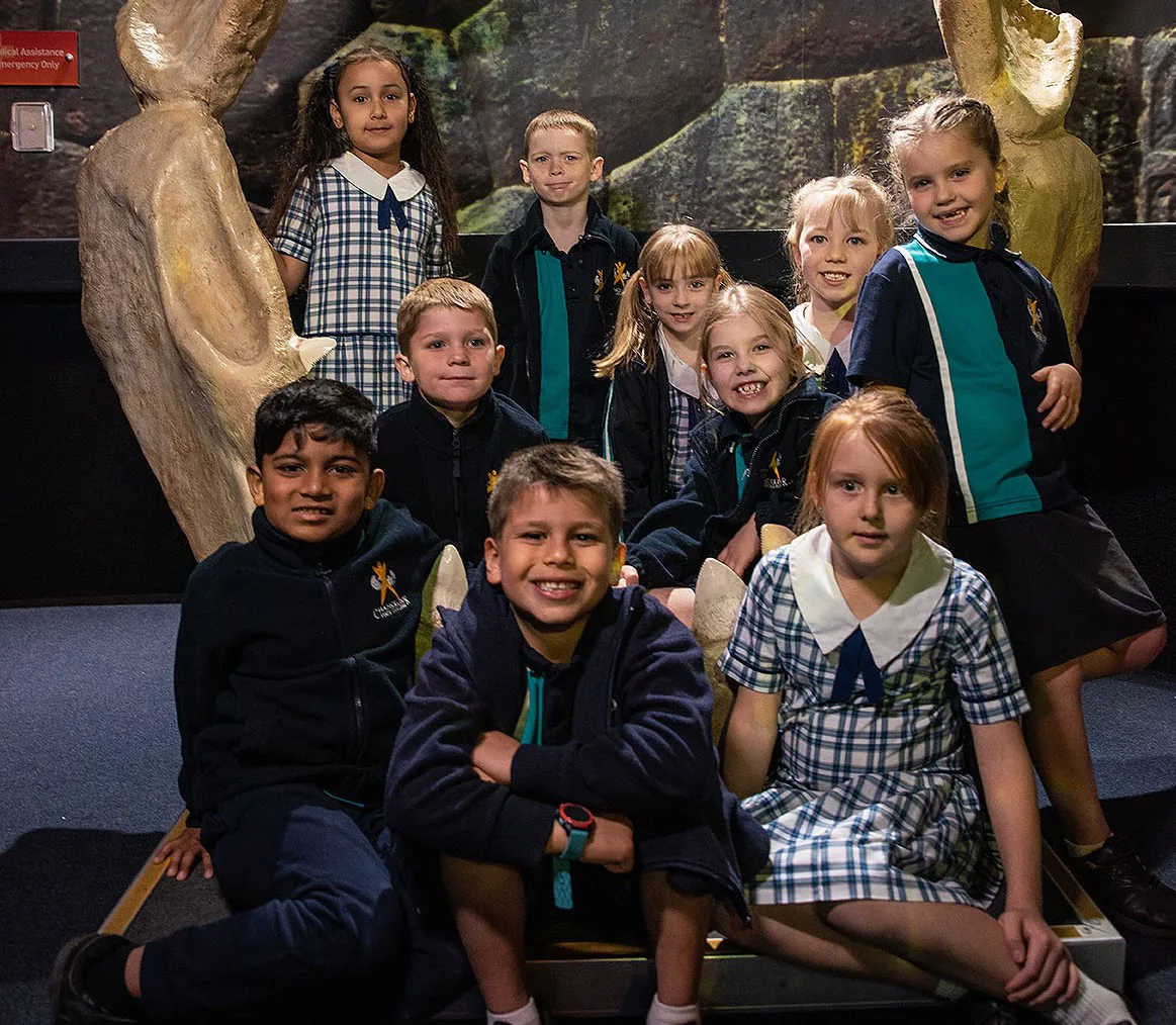 SLSC Sharkjawsmilescropped