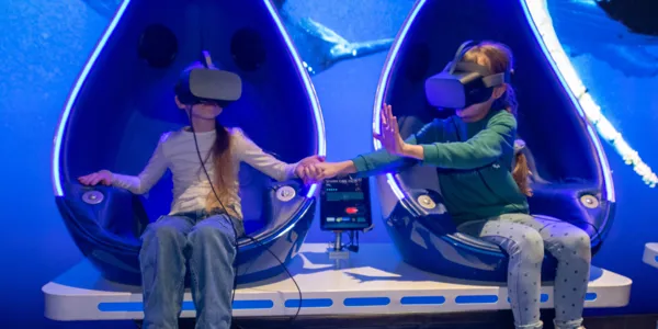 VR Experience