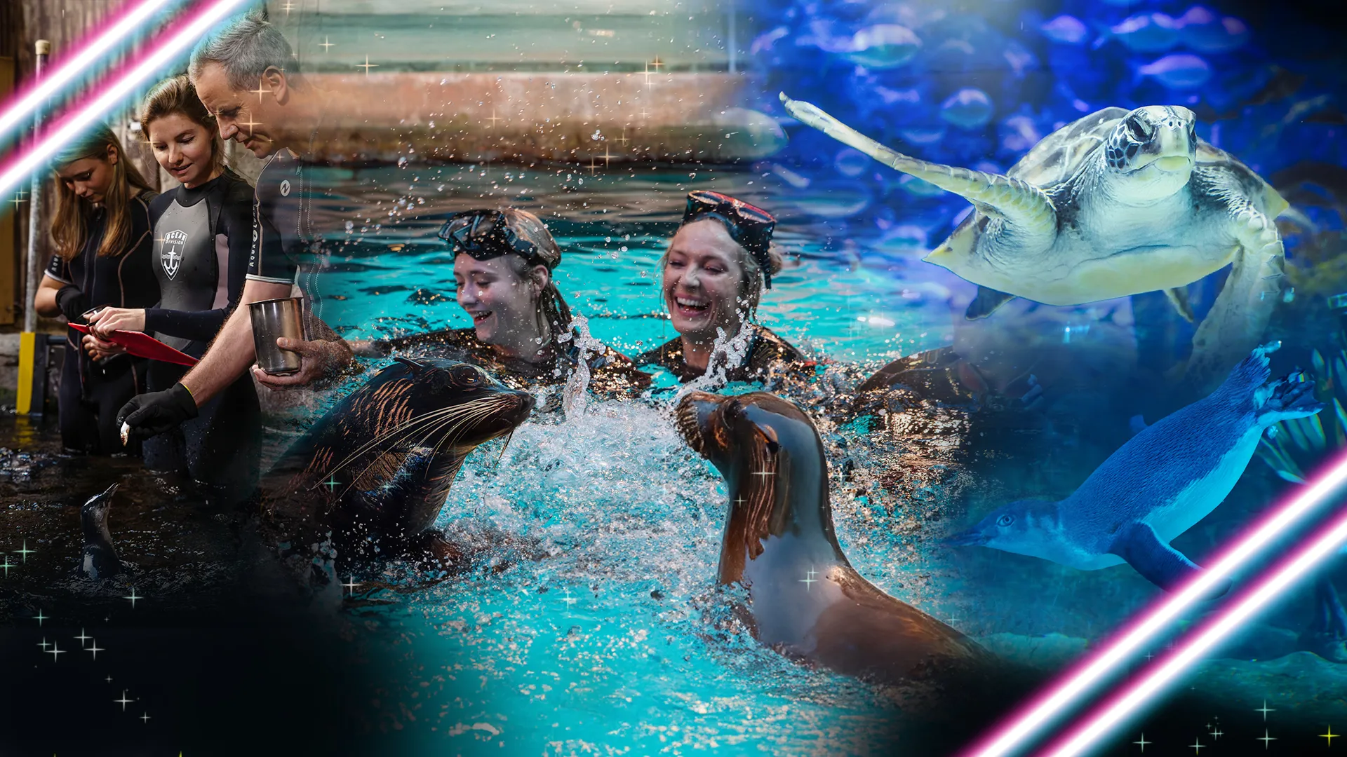 BF Frontpagehero 1920X1080px SLSC 3 (1)