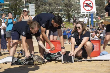 SLSC Jan23 Turtle Release 20230123 05