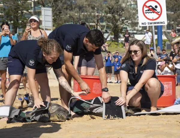 SLSC Jan23 Turtle Release 20230123 05