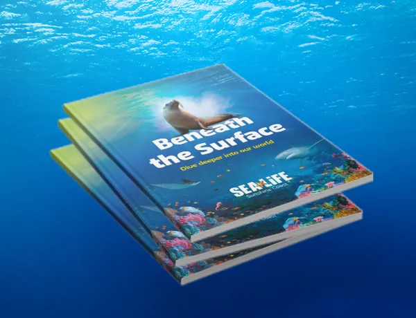 Guidebook