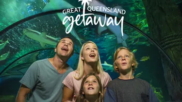 Family Oceanarium Sharks (1)