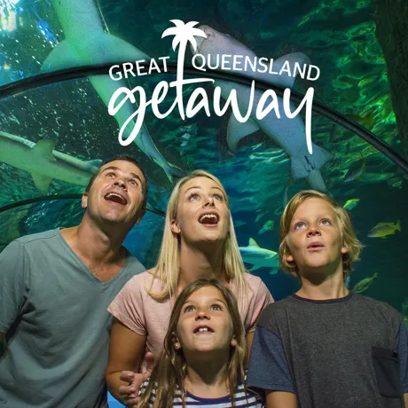 Family Oceanarium Sharks (1)