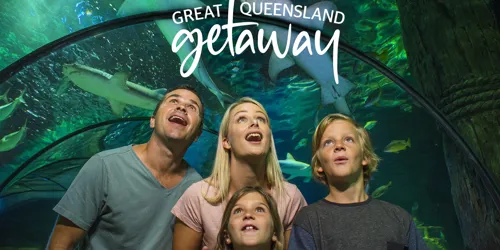 Family Oceanarium Sharks (1)
