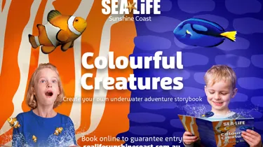 SLSC Colourfulcreatures Web 1400X1000