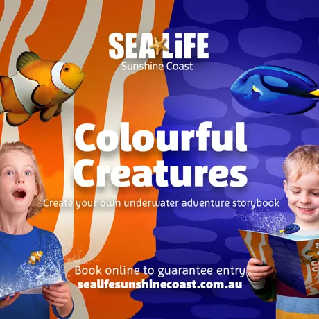 SLSC Colourfulcreatures Web 1400X1000