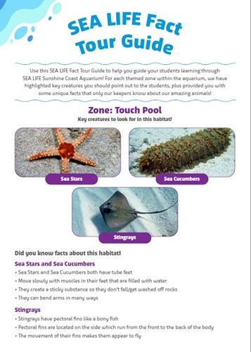 Touch Pool Fact Sheet