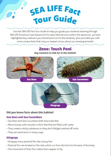 Touch Pool Fact Sheet