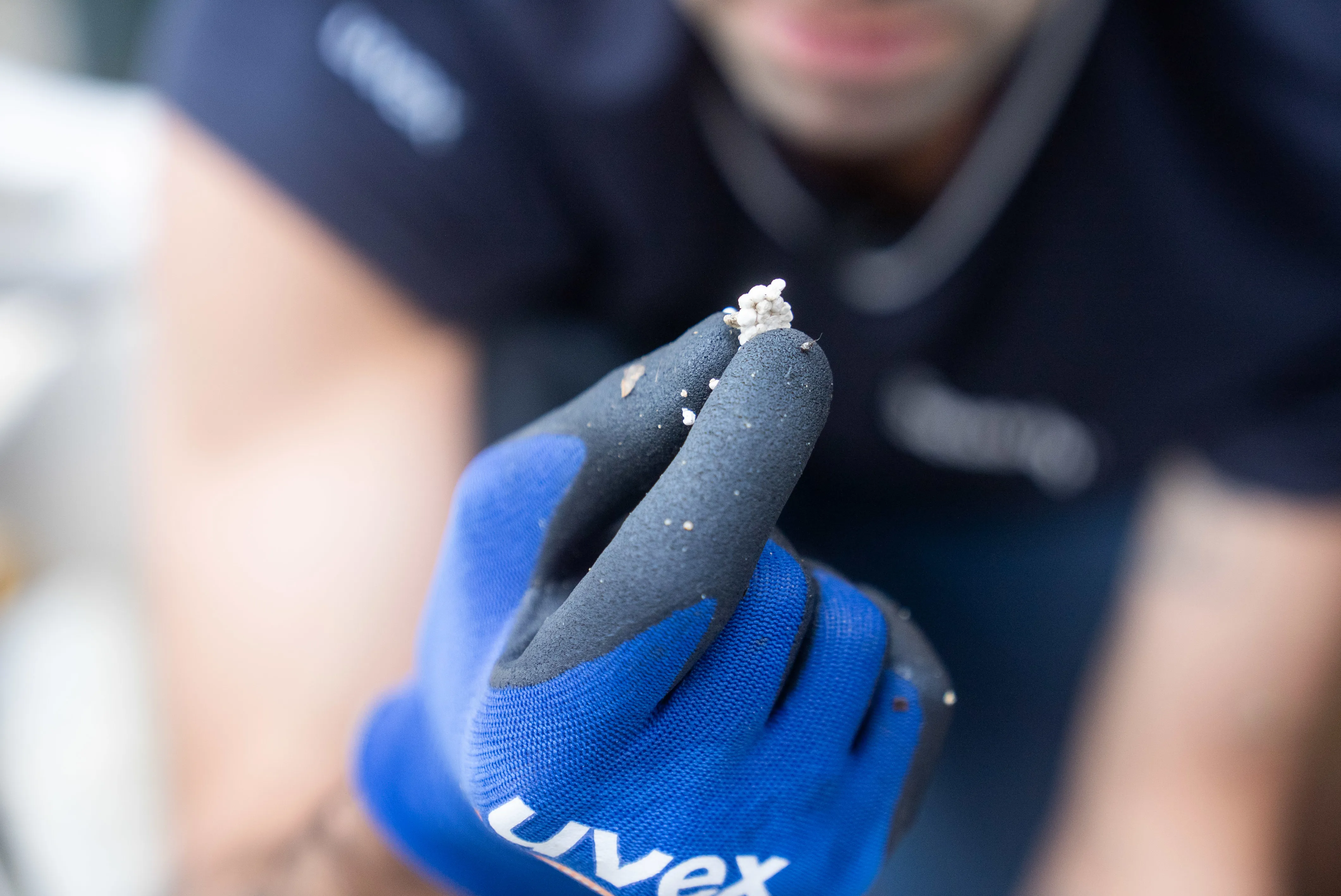 Microplastics Found In SEA LIFE Sydney Aquarium Seabin