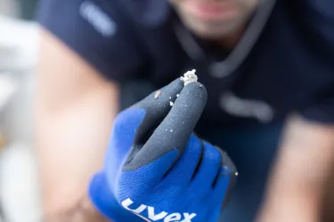 Microplastics Found In SEA LIFE Sydney Aquarium Seabin