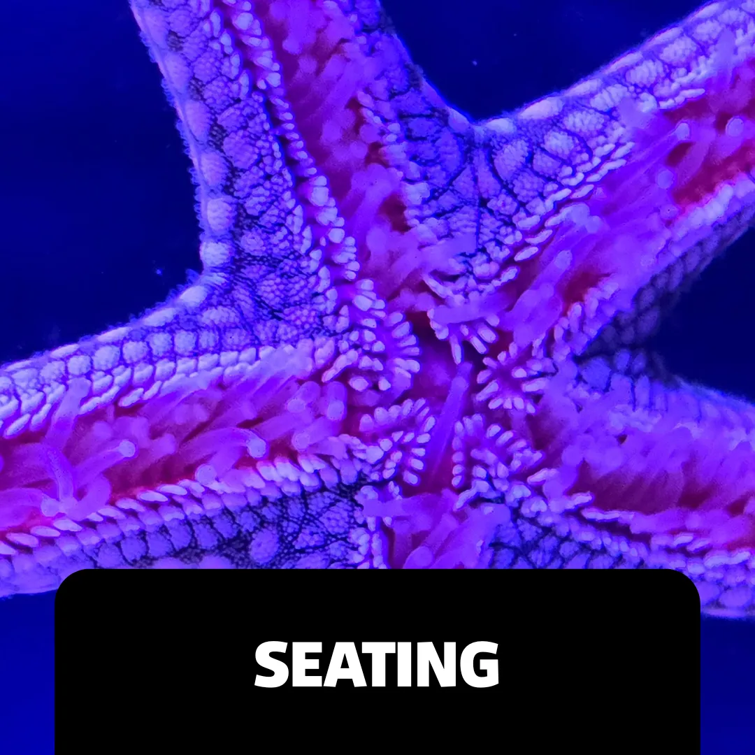 Accessibility Webpage Images Seating