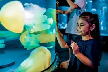 Girl Happily Looking at Jellyfish