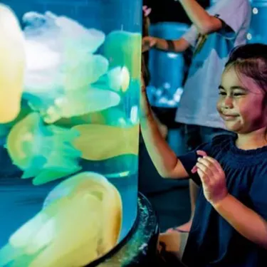 Girl Happily Looking at Jellyfish