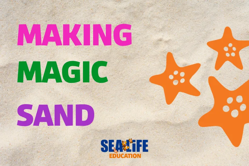 Magic Sand