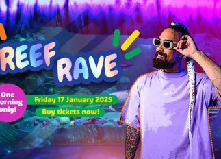 Reef Rave