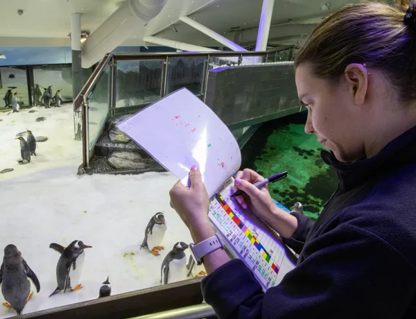 SLSA Penguin Keeper Logging Gentoo Feed (1)