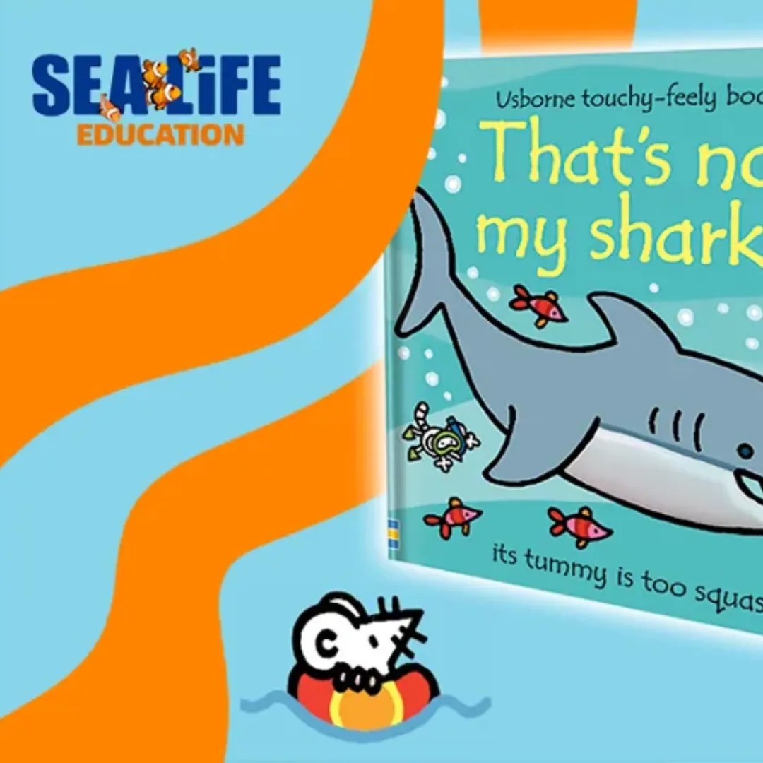 Thats Not My Shark Play Cards
