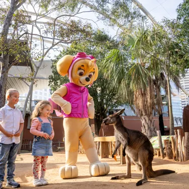 PAWPATROL WLSZ SL 22