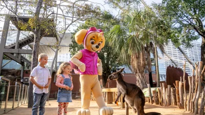 PAWPATROL WLSZ SL 22