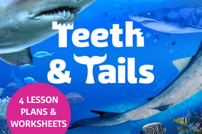 Teeth Tails Jpeg (1)