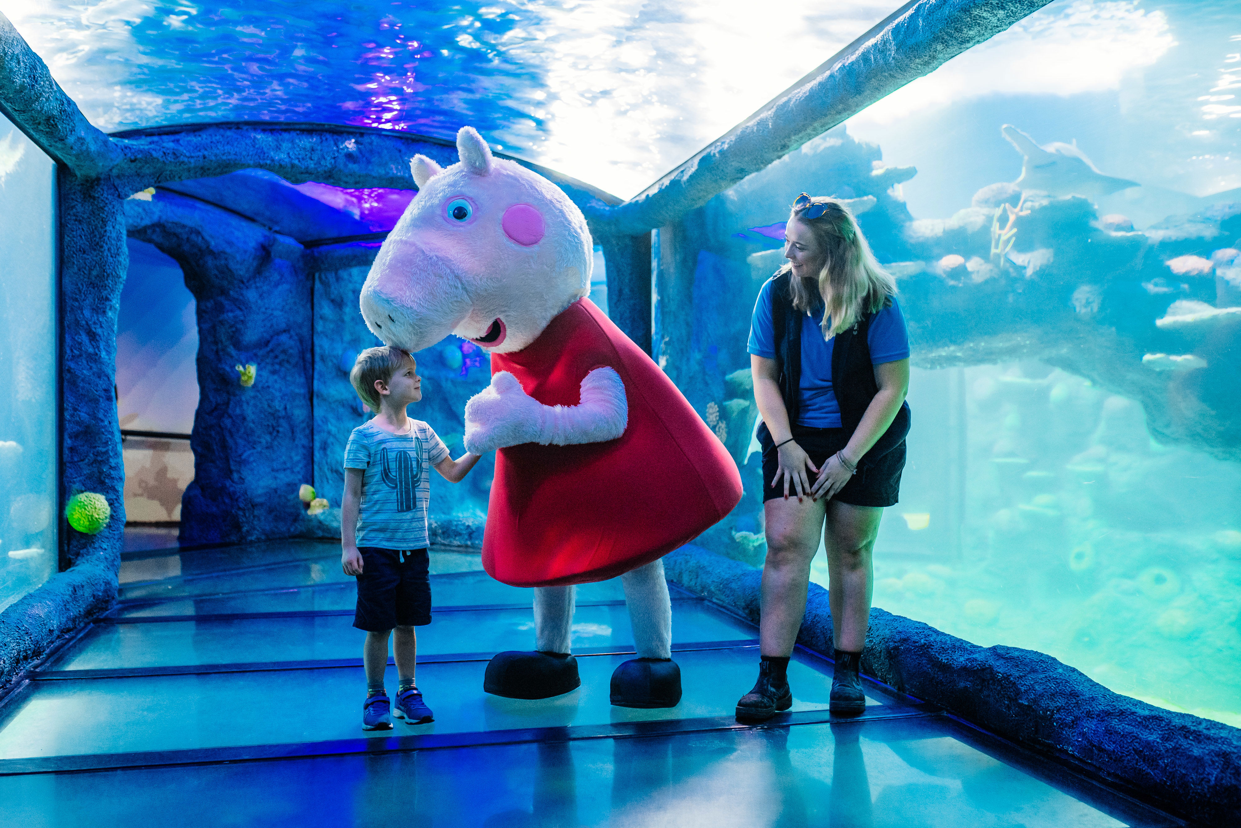 April Peppa Pig Competition SEA LIFE Sydney Aquarium