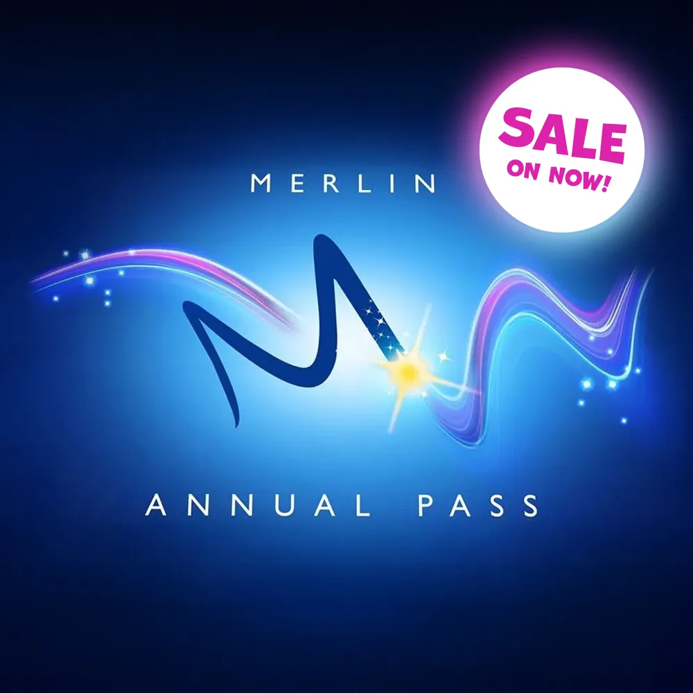 MAP Sale 2026 4 Columnimage 1000X1000