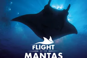 Webgraphic 700X500 VR Flightofthemantas
