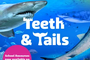 Teeth&Tails 1080X1080