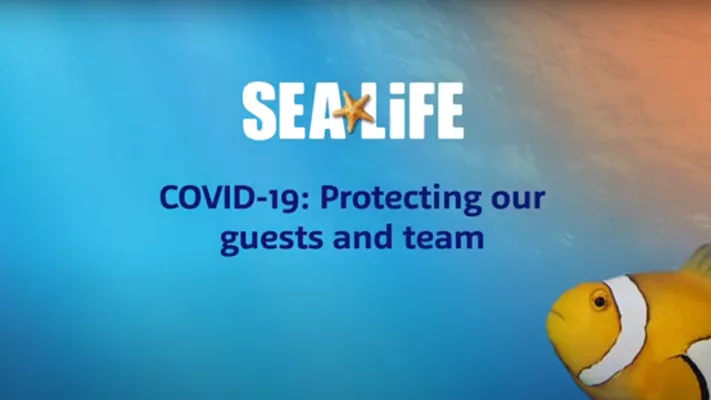 Covid Safe Video