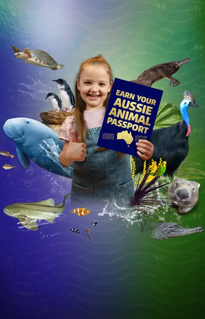 SLS WLS AAP Websitebanner 1920X1080