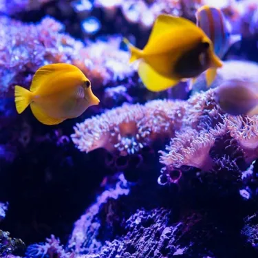 Fun winter school holiday activities at SEA Life Sydney