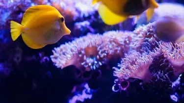 Fun winter school holiday activities at SEA Life Sydney