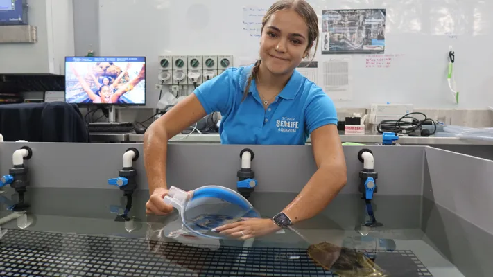Aquarist Natalie Gonzales Prepares Egg for Shipment SEA LIFE Sydney Aquarium