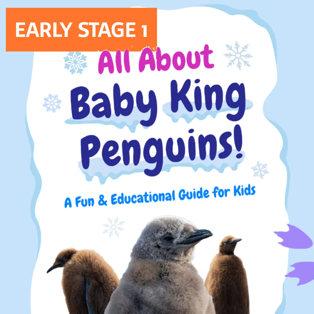 Es1 All About Baby King Penguins