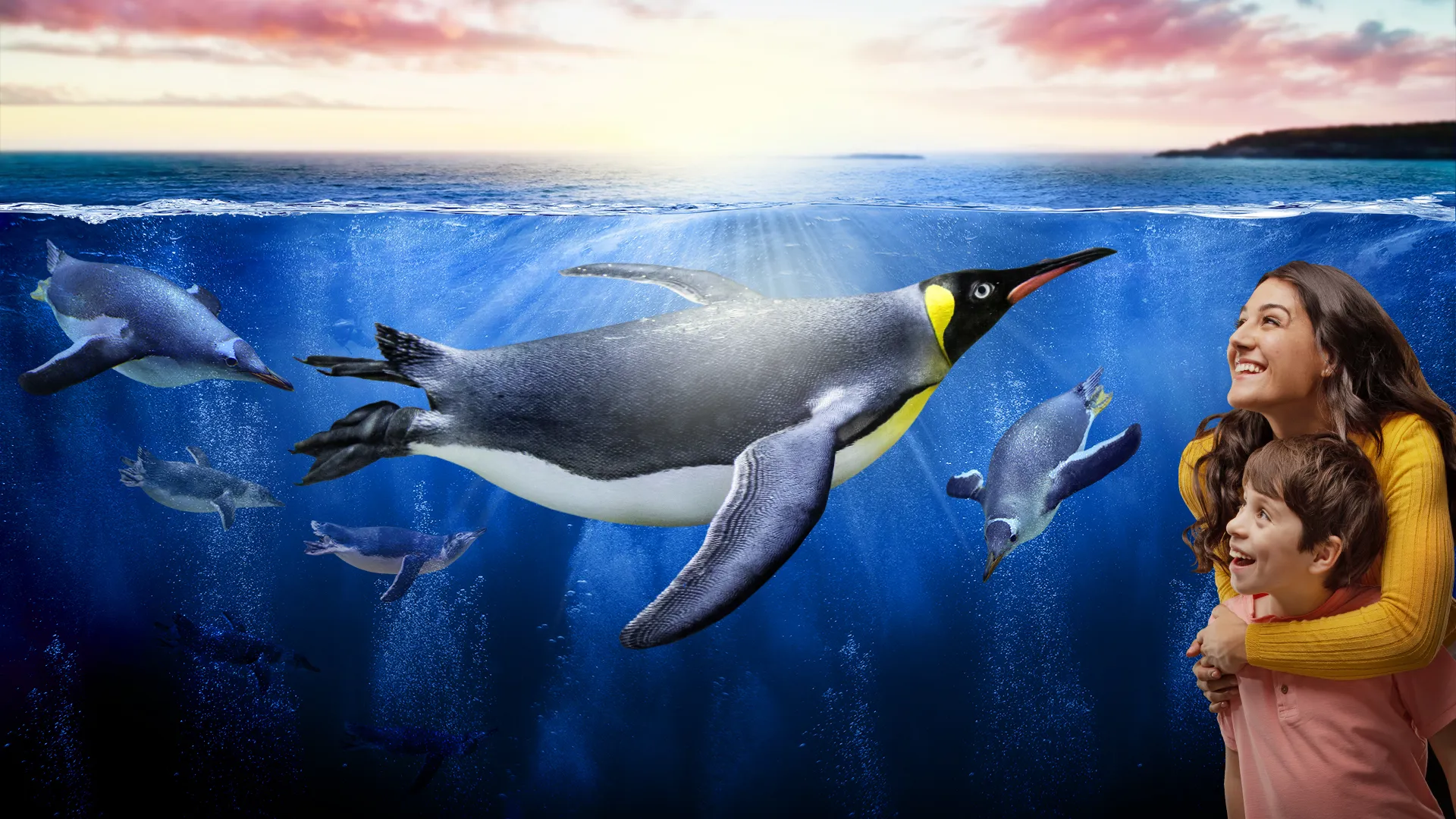 Coolcreatures Frontpagehero 1920X1080px SLS