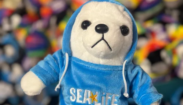 Hoodie Seal Plush