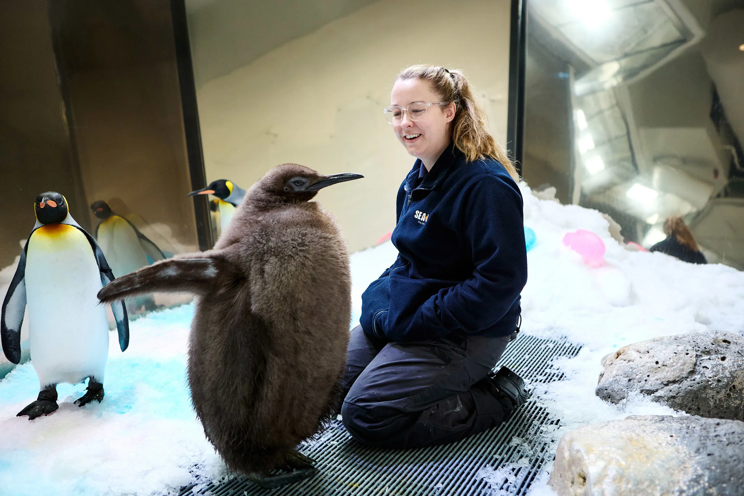 Pesto Penguin Chick With Keeper SLMA