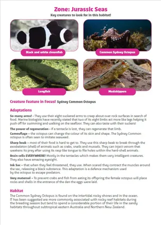 Teacher Guide - Jurassic Seas page
