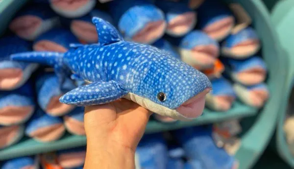 Whale Shark